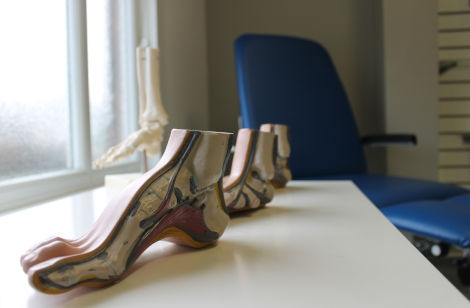 Podiatrist Model 