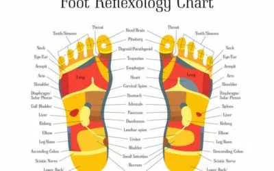 Reflexology at The Sussex Foot Centre